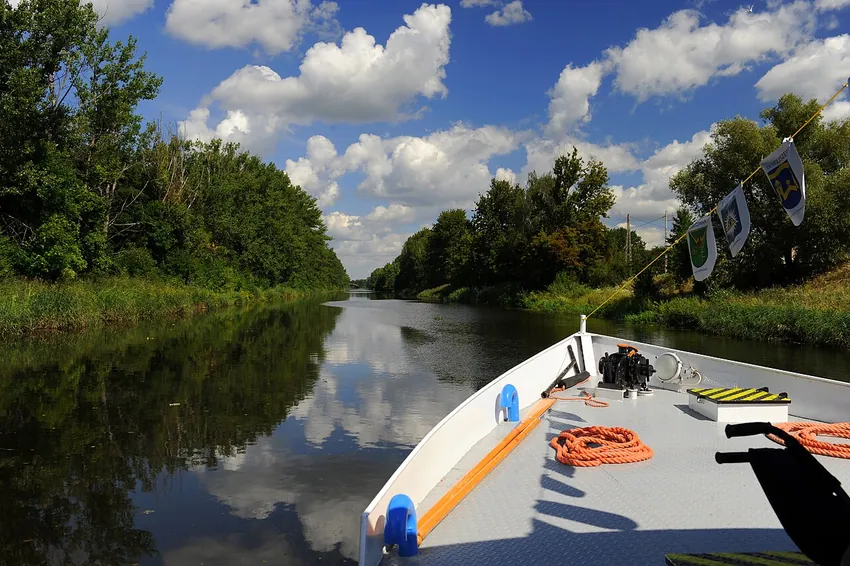 Henryków