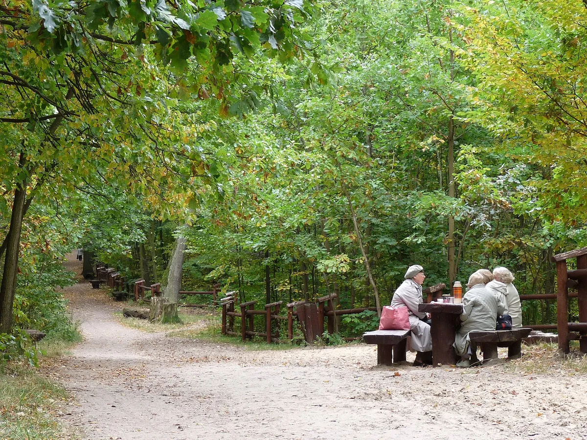 Las Bielański — ~132 ha