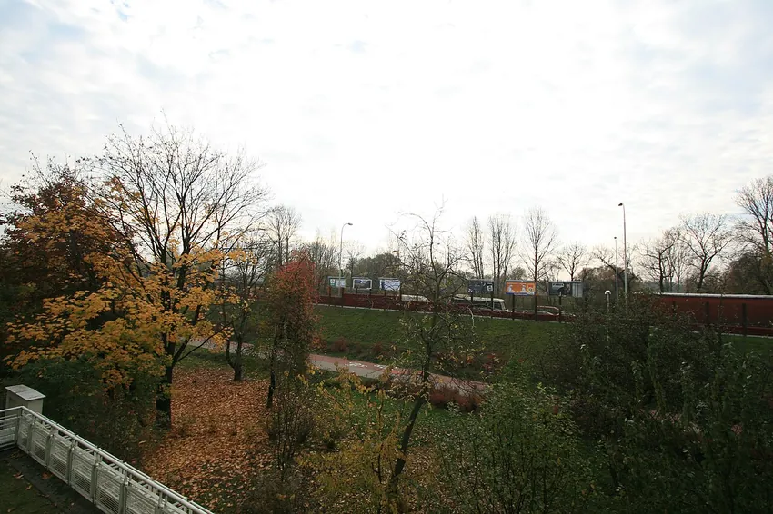 Saska Kępa