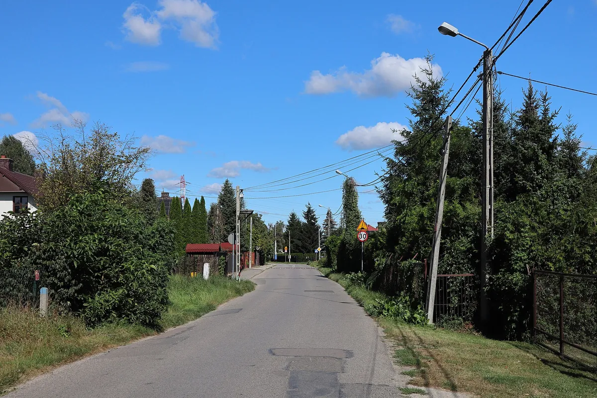 Nad Wisłą, naprzeciw lasu