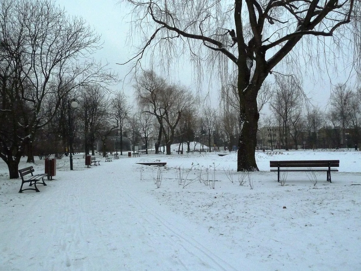 Park Czechowicki i zieleń