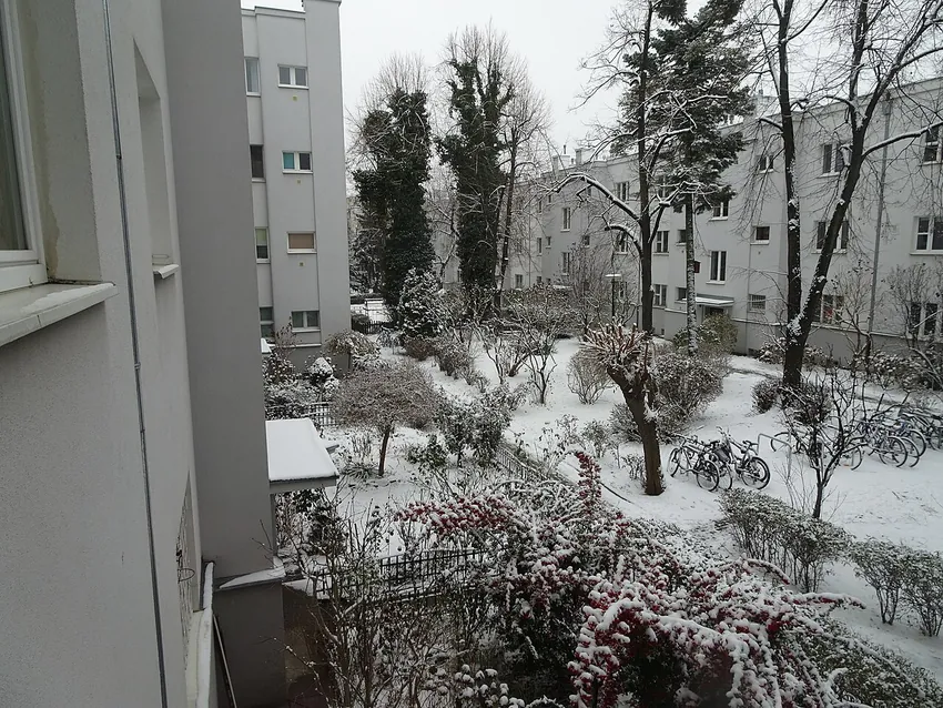 Stary Żoliborz / kolonie WSM