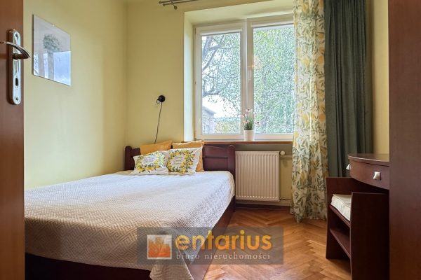 Nowe oferty
