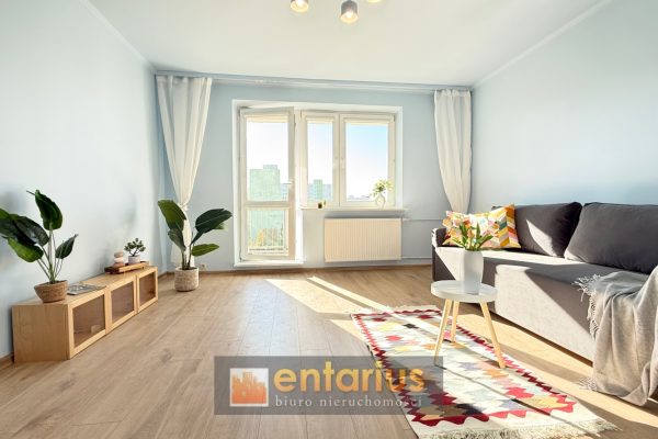 Nowe oferty